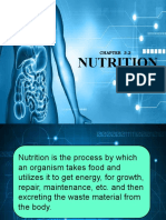 Nutrition (Digestive System)