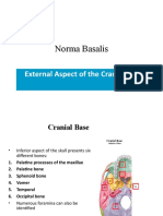 Norma Basalis: External Aspect of The Cranial Base