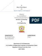 "Self Curing Concrete": Minor Project Report