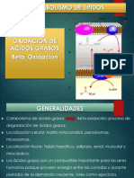 Beta Oxidacion