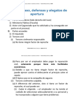 Teoría Del Caso, Defensas y Alegato de Apertu