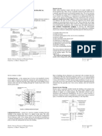 Bldutl2 - Building Utilities 2 Electrical, Electronic and Mechanical Systems