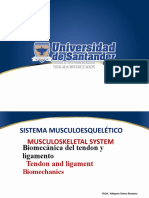 Biomecanica Tendón y Ligamento