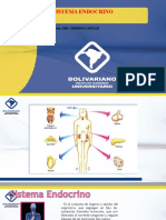 Sistema Endocrino