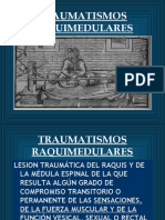 Traumatismo Raquimedular