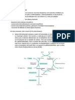 Funciones Metabolicas