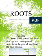 Roots: Functions, Forms, and Regions