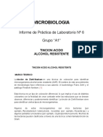 Labo 6 Microbiologia