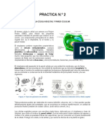 Guía de PRACTICA No 2