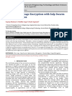 Chaos-Based Image Encryption With Salp Swarm Key Optimization