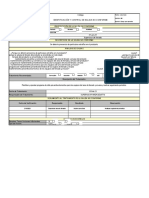 Modelo Formato de Identificación y Control de Salidas No Conformes