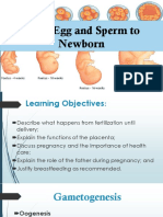 From Egg and Sperm To Newborn