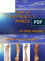 Clase 10 Antebrazo y Muñeca