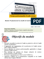 Normes Professionnelles D'audit Externe