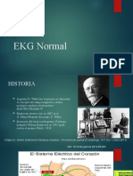 Ekg Normal Expo