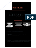 30 Bullets Literature