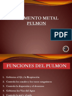 Pulmon e Intestino Grueso