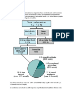 Metabolismo Del Calcio