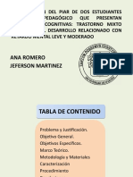 Proyecto Inclusion Pedagogico