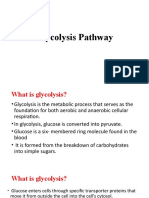 Glycolysis Pathway