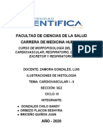 Cuestionario Cardio Vascular 1 y 2