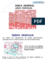 Tejidos Vegetales