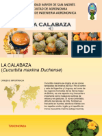 La Calabaza