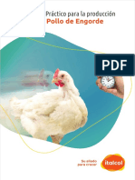 Manual Pollo Engorde Italcol