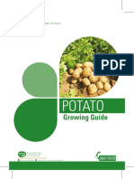 Potato Crop Guide 2020