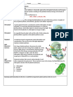 Unit 3 Bioenergetics Review Packet