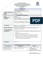 11) Planeador de Lenguaje-Institución Educativa Fidel de Montclar