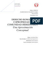 Derecho Romano Copropiedad y Comunidad Hereditaria. Una Aproximacion Conceptual