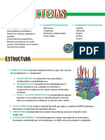 MICROBIOLOGIA Bacterias Resumen