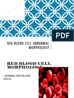 RBCs - Abnormal - Morphology Final