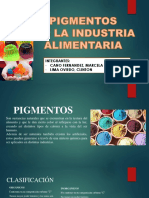 Exposición de Pigmentos