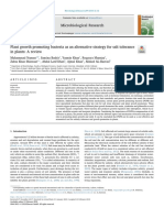 Plant Growth Promoting Bacteria As An Alternative Strategy For Salt Tolerance