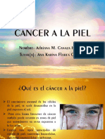 Cáncer A La Piel