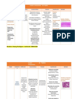 Cuadro Comparativo de Tejidos-1