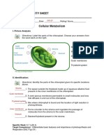 Learning Activity Sheet Grade 9-Science: Cellular Metabolism