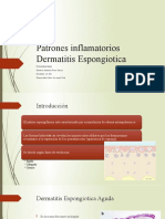 Dermatitis Espongiotica