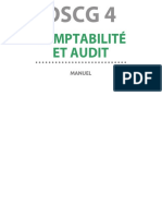 DSCG 4 Comptabilite Et Audit 2019 9e Ed Manuel Sommaire