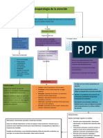 Mapa Conceptual Capitulo 5 Psicopatologia de La Atenció1.1