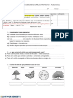 Examen Naturales 5º Primaria