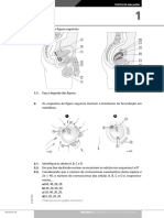 Testes Avalia Integral