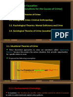 Theories of Crime Causation (Explanations For The Causes of Crime)