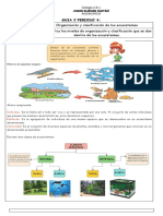 Guia 2 Periodo 4 Organización y Clasificación de Los Ecosistemas