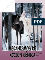 Mecanismos de Acción Génica