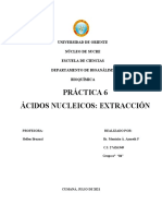 Practica 6. Acidos Nucleicos