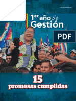 Especial - Gestión Luis Arce