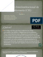 Comisión Interinstitucional de Enfermería (CIE) Deontologia